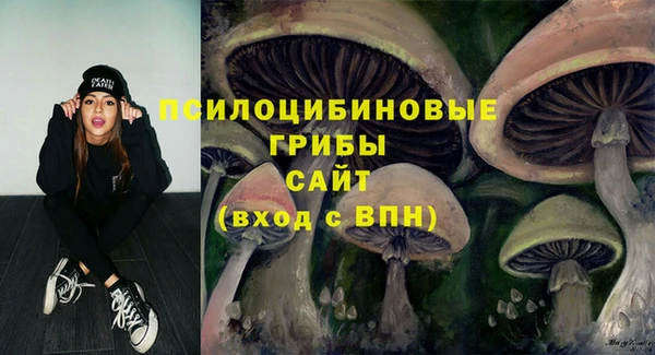 марки lsd Бородино