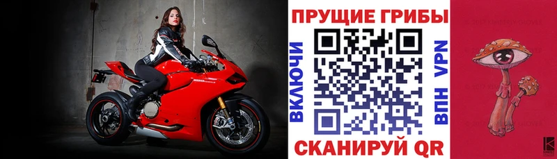 Галлюциногенные грибы MAGIC MUSHROOMS  купить наркоту  мориарти какой сайт  Кизилюрт 